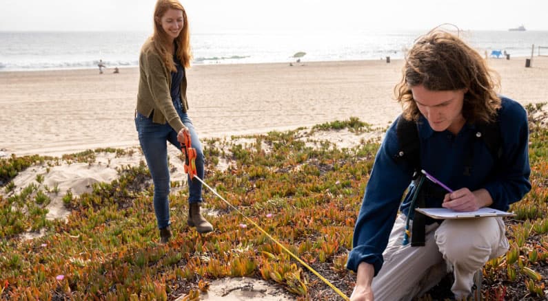 https://tbfadmin.3lanemarketing.com/wp-content/uploads/2021/08/protecting-beaches.jpg