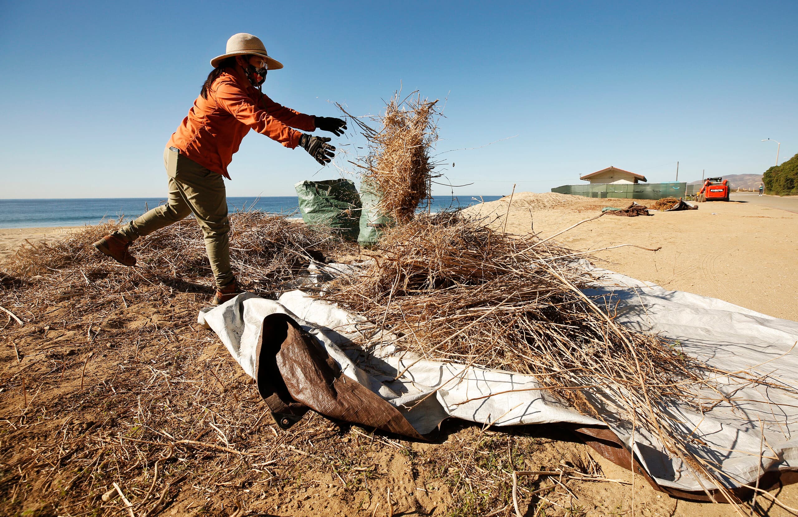 The Bay Foundation (along with the city of Malibu and a few other partners) have been working on a project by Zuma/Point Dume to rebuild the sand dunes in that area.