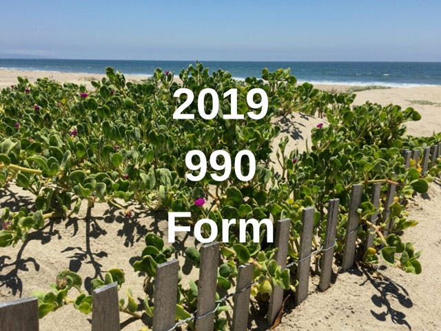 2019-990-Form-4