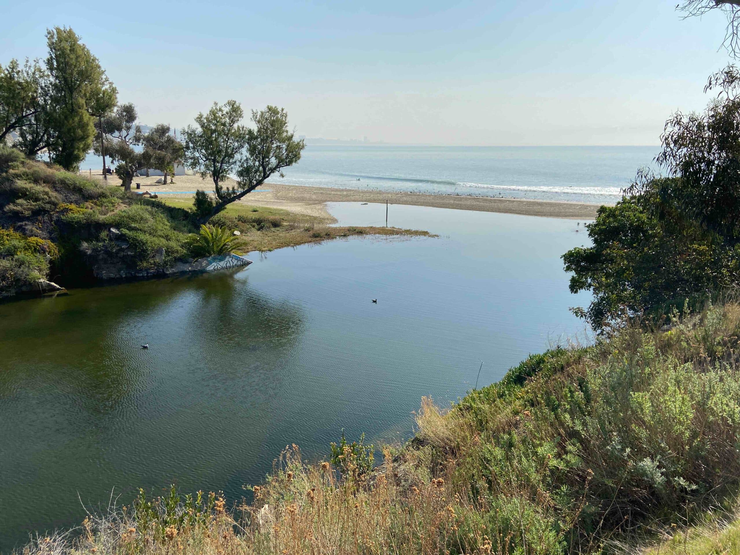 other-stream-and-wetland-projects - IMG_4764